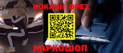 гашик Будённовск
