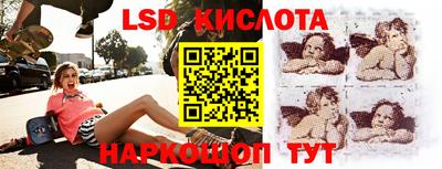 прущие грибы Новозыбков